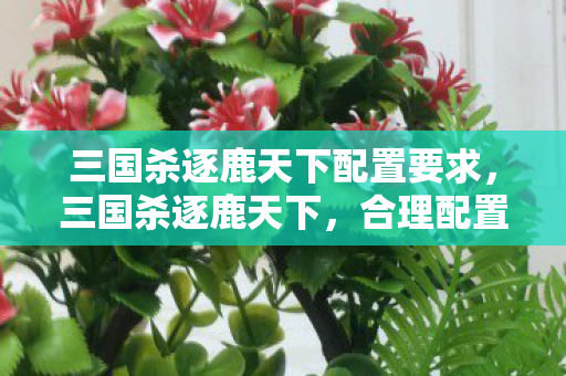 三国杀逐鹿天下配置要求,三国杀逐鹿天下,合理配置,打造最强阵容 三国杀逐鹿天下配置要求,三国杀逐鹿天下,合理配置,打造最强阵容
