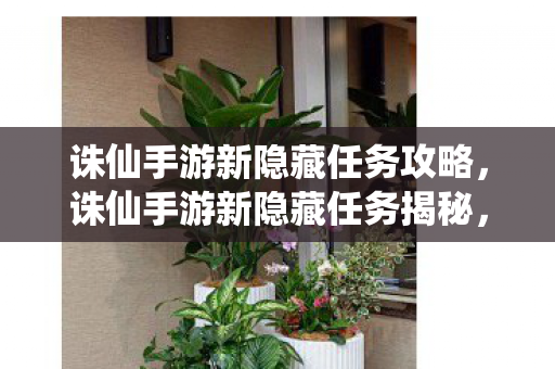 诛仙手游新隐藏任务攻略,诛仙手游新隐藏任务揭秘,探索未知剧情,解锁惊喜奖励 诛仙手游新隐藏任务攻略,诛仙手游新隐藏任务揭秘,探索未知剧情,解锁惊喜奖励
