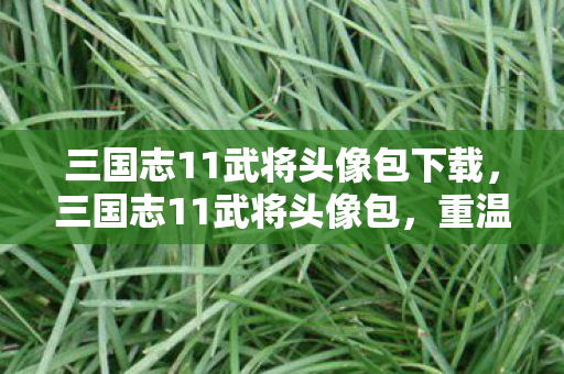 三国志11武将头像包下载,三国志11武将头像包,重温经典,领略武将风采 三国志11武将头像包下载,三国志11武将头像包,重温经典,领略武将风采