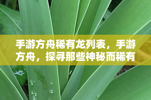 手游方舟稀有龙列表,手游方舟,探寻那些神秘而稀有的龙 手游方舟稀有龙列表,手游方舟,探寻那些神秘而稀有的龙