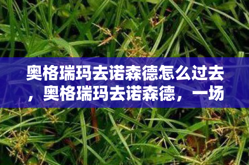 奥格瑞玛去诺森德怎么过去,奥格瑞玛去诺森德,一场跨越艾泽拉斯的冒险之旅 奥格瑞玛去诺森德怎么过去,奥格瑞玛去诺森德,一场跨越艾泽拉斯的冒险之旅