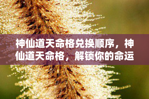 神仙道天命格兑换顺序,神仙道天命格,解锁你的命运,成就非凡传奇 神仙道天命格兑换顺序,神仙道天命格,解锁你的命运,成就非凡传奇