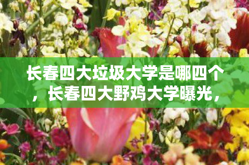 长春四大垃圾大学是哪四个,长春四大野鸡大学曝光,警惕教育陷阱! 长春四大垃圾大学是哪四个,长春四大野鸡大学曝光,警惕教育陷阱!
