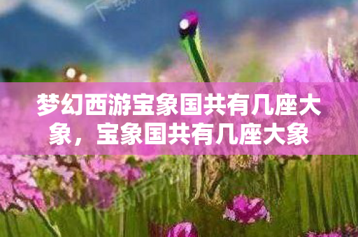 梦幻西游宝象国共有几座大象,宝象国共有几座大象 梦幻西游宝象国共有几座大象,宝象国共有几座大象