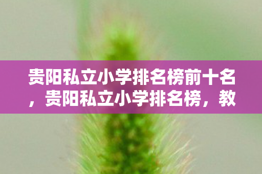 贵阳私立小学排名榜前十名，贵阳私立小学排名榜，教育品质与资源并重