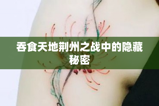 吞食天地荆州之战中的隐藏秘密 吞食天地荆州之战中的隐藏秘密