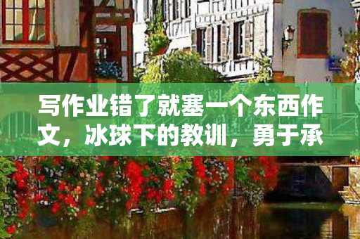 写作业错了就塞一个东西作文,冰球下的教训,勇于承担与成长 写作业错了就塞一个东西作文,冰球下的教训,勇于承担与成长