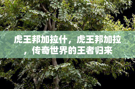 虎王邦加拉什,虎王邦加拉,传奇世界的王者归来 虎王邦加拉什,虎王邦加拉,传奇世界的王者归来