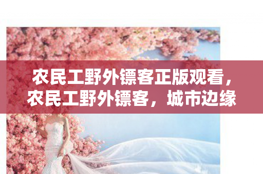 农民工野外镖客正版观看,农民工野外镖客,城市边缘的坚韧与梦想 农民工野外镖客正版观看,农民工野外镖客,城市边缘的坚韧与梦想