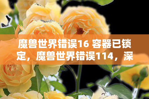 魔兽世界错误16 容器已锁定,魔兽世界错误114,深度解析与解决方案 魔兽世界错误16 容器已锁定,魔兽世界错误114,深度解析与解决方案