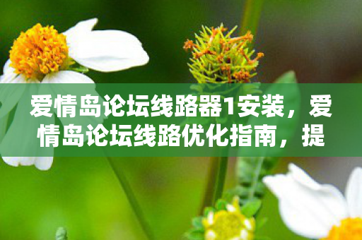 爱情岛论坛线路器1安装,爱情岛论坛线路优化指南,提升网络体验,畅通无阻的浪漫之旅 爱情岛论坛线路器1安装,爱情岛论坛线路优化指南,提升网络体验,畅通无阻的浪漫之旅