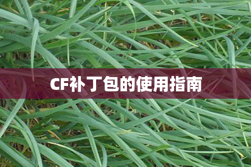 CF补丁包的使用指南 CF补丁包的使用指南