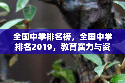 全国中学排名榜,全国中学排名2019,教育实力与资源分布探析 全国中学排名榜,全国中学排名2019,教育实力与资源分布探析