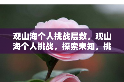观山海个人挑战层数,观山海个人挑战,探索未知,挑战自我 观山海个人挑战层数,观山海个人挑战,探索未知,挑战自我