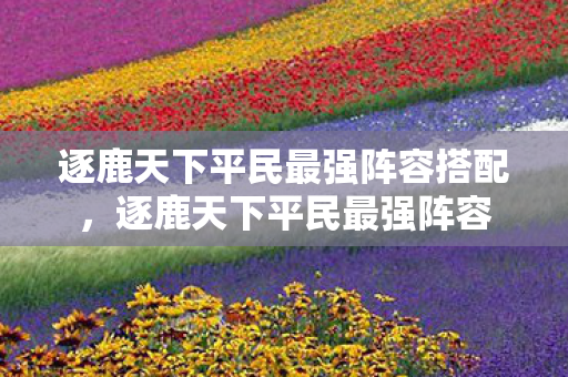 逐鹿天下平民最强阵容搭配,逐鹿天下平民最强阵容 逐鹿天下平民最强阵容搭配,逐鹿天下平民最强阵容