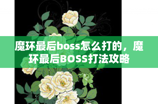 魔环最后boss怎么打的,魔环最后BOSS打法攻略 魔环最后boss怎么打的,魔环最后BOSS打法攻略