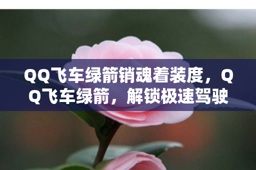 QQ飞车绿箭销魂着装度,QQ飞车绿箭,解锁极速驾驶新体验 QQ飞车绿箭销魂着装度,QQ飞车绿箭,解锁极速驾驶新体验