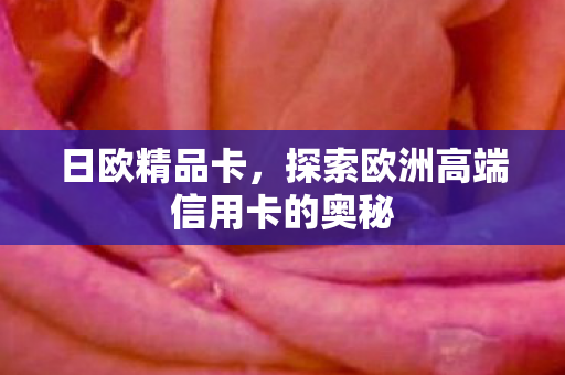 日欧精品卡,探索欧洲高端信用卡的奥秘 日欧精品卡,探索欧洲高端信用卡的奥秘