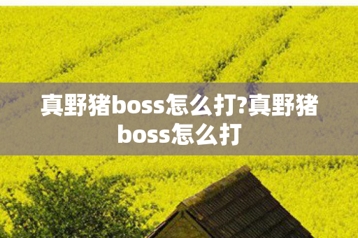 真野猪boss怎么打?真野猪boss怎么打 真野猪boss怎么打?真野猪boss怎么打