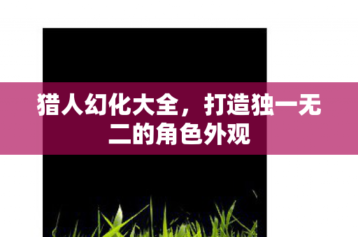 猎人幻化大全,打造独一无二的角色外观 猎人幻化大全,打造独一无二的角色外观