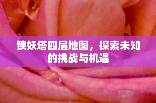 锁妖塔四层地图，探索未知的挑战与机遇