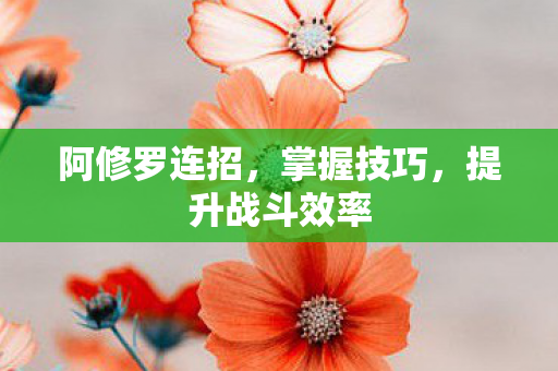 阿修罗连招,掌握技巧,提升战斗效率 阿修罗连招,掌握技巧,提升战斗效率