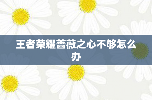 王者荣耀蔷薇之心不够怎么办