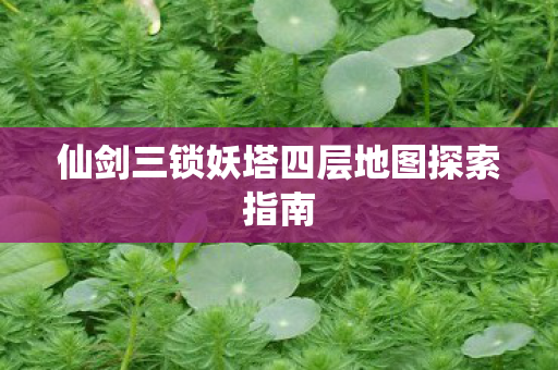 仙剑三锁妖塔四层地图探索指南