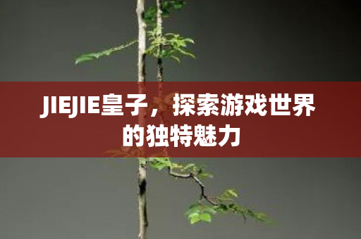 JIEJIE皇子,探索游戏世界的独特魅力 JIEJIE皇子,探索游戏世界的独特魅力