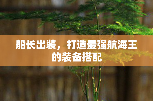 船长出装，打造最强航海王的装备搭配