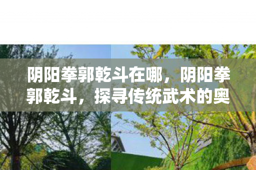 阴阳拳郭乾斗在哪，阴阳拳郭乾斗，探寻传统武术的奥秘与现代传承