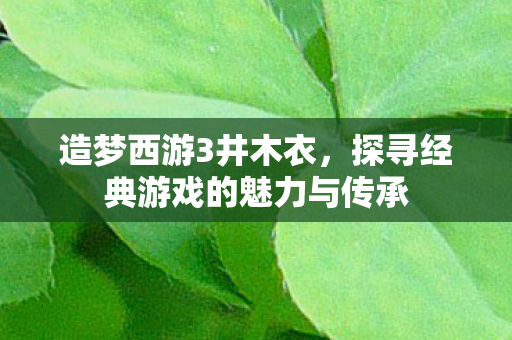 造梦西游3井木衣，探寻经典游戏的魅力与传承