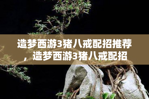 造梦西游3猪八戒配招推荐,造梦西游3猪八戒配招 造梦西游3猪八戒配招推荐,造梦西游3猪八戒配招