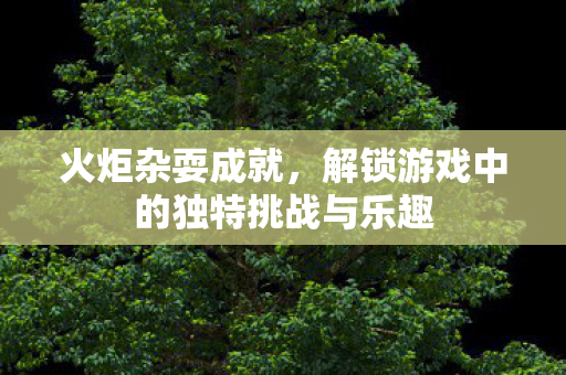 火炬杂耍成就,解锁游戏中的独特挑战与乐趣 火炬杂耍成就,解锁游戏中的独特挑战与乐趣