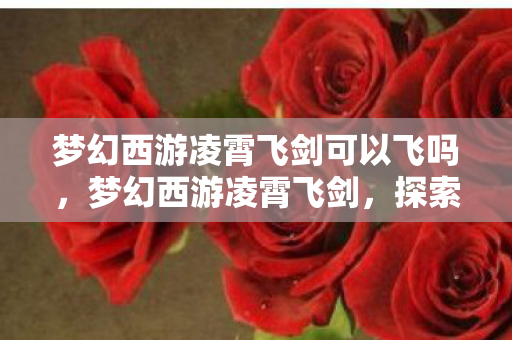 梦幻西游凌霄飞剑可以飞吗,梦幻西游凌霄飞剑,探索经典游戏的全新挑战 梦幻西游凌霄飞剑可以飞吗,梦幻西游凌霄飞剑,探索经典游戏的全新挑战