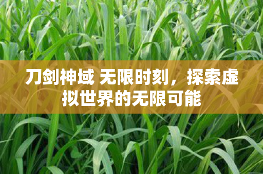 刀剑神域 无限时刻,探索虚拟世界的无限可能 刀剑神域 无限时刻,探索虚拟世界的无限可能