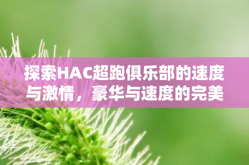 探索HAC超跑俱乐部的速度与激情，豪华与速度的完美融合