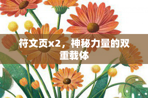 符文页x2，神秘力量的双重载体