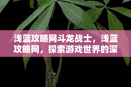 浅蓝攻略网斗龙战士,浅蓝攻略网,探索游戏世界的深度指南 浅蓝攻略网斗龙战士,浅蓝攻略网,探索游戏世界的深度指南