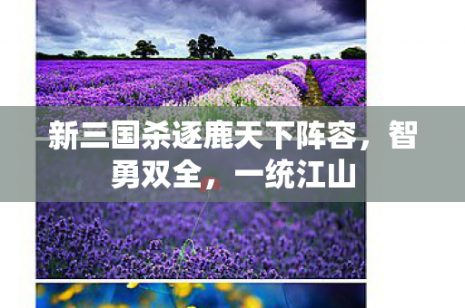 新三国杀逐鹿天下阵容,智勇双全,一统江山 新三国杀逐鹿天下阵容,智勇双全,一统江山