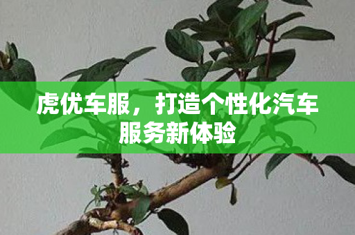 虎优车服,打造个性化汽车服务新体验 虎优车服,打造个性化汽车服务新体验