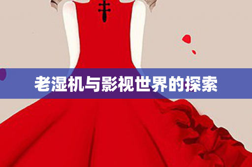 老湿机与影视世界的探索 老湿机与影视世界的探索