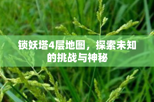 锁妖塔4层地图,探索未知的挑战与神秘 锁妖塔4层地图,探索未知的挑战与神秘