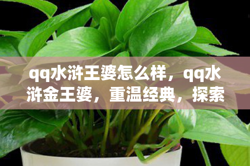 qq水浒王婆怎么样,qq水浒金王婆,重温经典,探索未知的水浒世界 qq水浒王婆怎么样,qq水浒金王婆,重温经典,探索未知的水浒世界