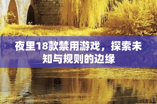 夜里18款禁用游戏,探索未知与规则的边缘 夜里18款禁用游戏,探索未知与规则的边缘
