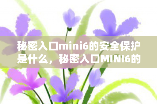 秘密入口mini6的安全保护是什么，秘密入口MINI6的安全保护，构建坚固的防线