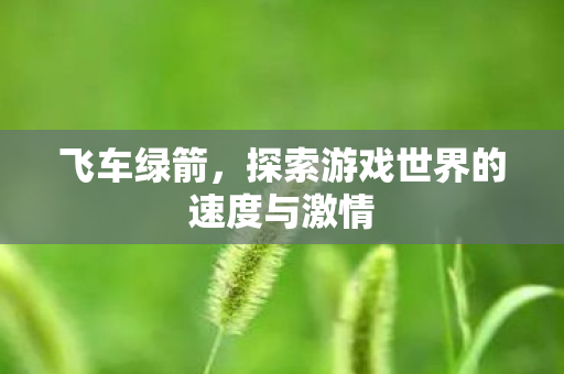 飞车绿箭,探索游戏世界的速度与激情 飞车绿箭,探索游戏世界的速度与激情