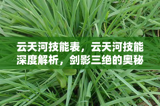 云天河技能表,云天河技能深度解析,剑影三绝的奥秘 云天河技能表,云天河技能深度解析,剑影三绝的奥秘