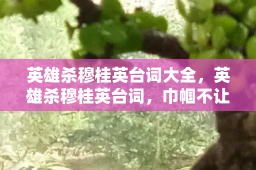 英雄杀穆桂英台词大全,英雄杀穆桂英台词,巾帼不让须眉,智勇双全的女中豪杰 英雄杀穆桂英台词大全,英雄杀穆桂英台词,巾帼不让须眉,智勇双全的女中豪杰