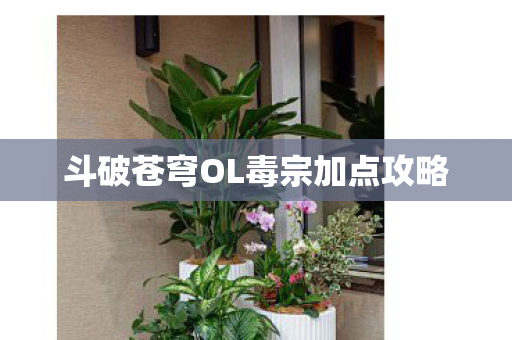 斗破苍穹OL毒宗加点攻略 斗破苍穹OL毒宗加点攻略